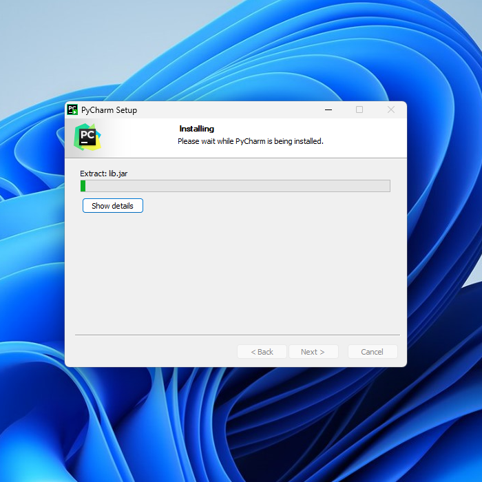 windows_pro_step_13